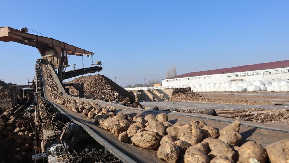 Malatya Şeker Fabrikası'nda Hedef 55 Bin Ton Şeker Üretimi