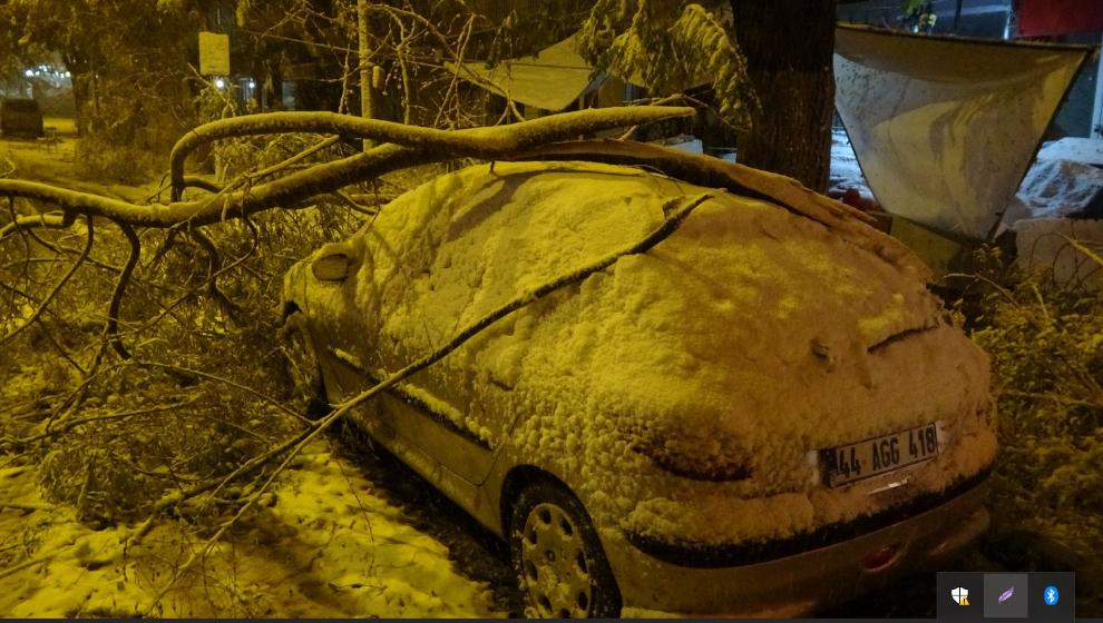 Malatya'da kardan kırılan ağaç dalları araçların üzerine devrildi