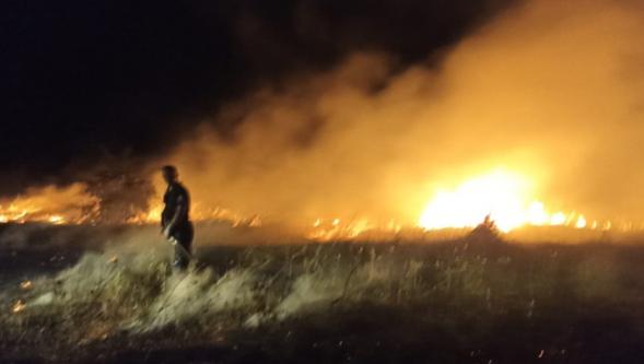 Akçadağ'da Bahçe ve Sazlık Yangını: 25 Kayısı Ağacı Zarar Gördü..