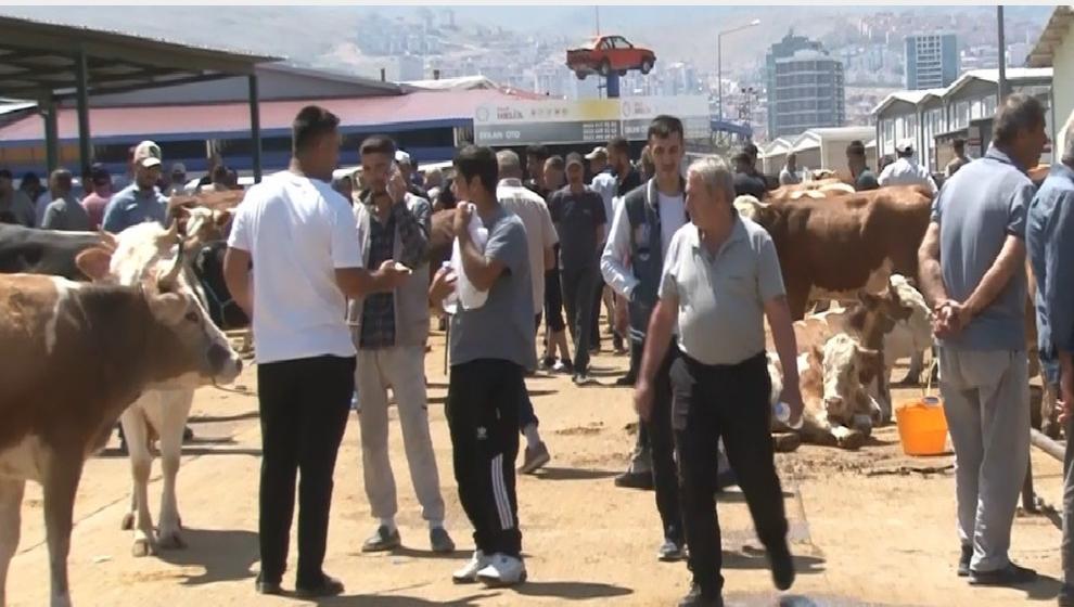 Hayvan Pazarı Çok Yoğundu..