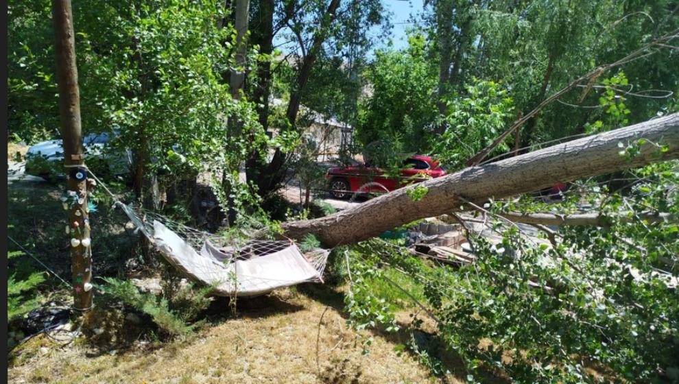Şiddetli Fırtına Ağaçları Devirdi
