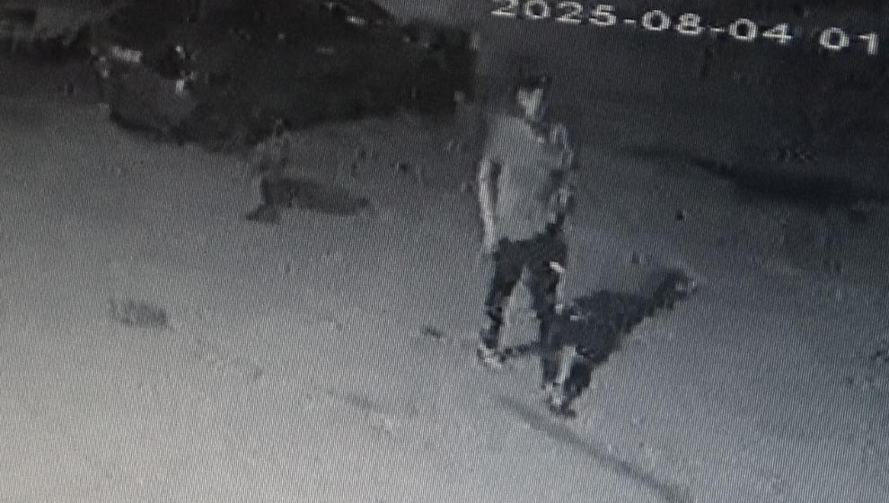 Oto Hırsızlığı  Kamerada..