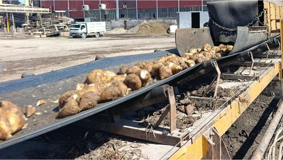 2025-2026 Sezonunda  Yaklaşık 62 Bin Ton Şeker Üretmeyi Hedefliyoruz.
