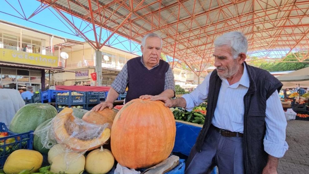 Darende'de  Bal Kabağı Zamanı..