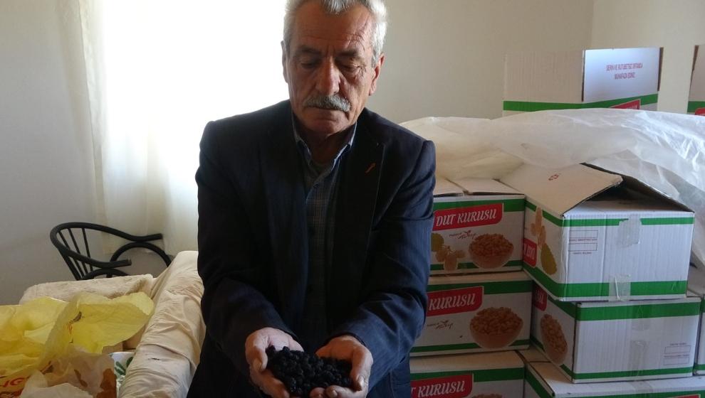 Karadutun Kurusu 500 TL'ye Kadar Alıcı Buldu