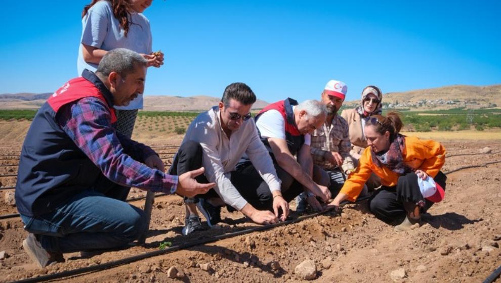 Kuluncak’ta Organik Çilek Üretimi İçin Fide Dağıtıldı.