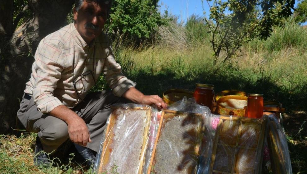 Şimdi Bal Zamanı..
