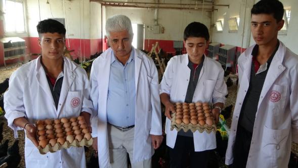 Öğrenciler, Tavuk Yetiştirip Gelir Elde Ediyor