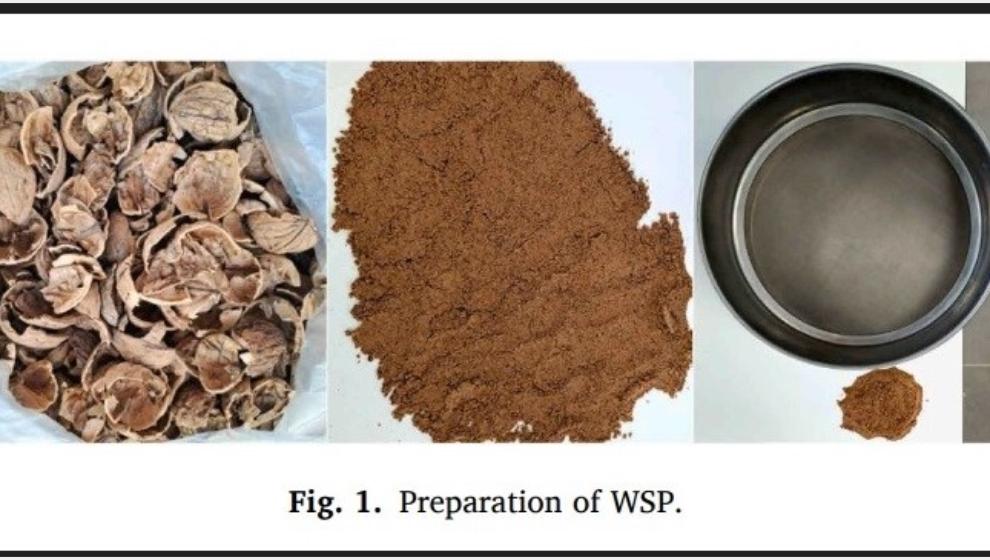 MTÜ’den Ceviz Kabuğundan Asfalt Üretiminde Çevreci Yenilik.