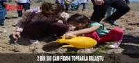 2 BİN 300 ÇAM FİDANI TOPRAKLA BULUŞTU