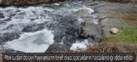 Atık sudan dolayı hayvanların telef olup, çocukların hastalandığı iddia edildi