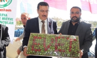 Dünya Vicdanının Harekete Geçmesi Lazım