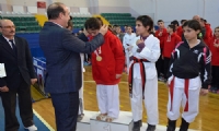 ANALİG Tekvando Yarı Final Müsabakaları sona erdi