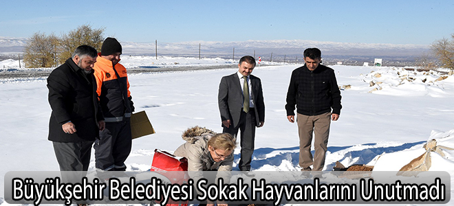 Sokak hayvanları için doğaya yem bırakıldı