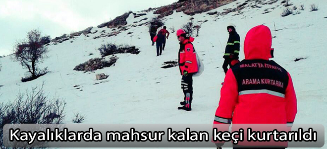 Kayalıklarda mahsur kalan keçi kurtarıldı