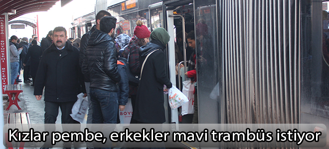Kızlar pembe, erkekler mavi trambüs istiyor