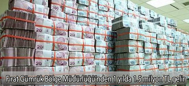 Fırat Gümrük Bölge Müdürlüğü'nden 1 yılda 1.5 milyon TL gelir