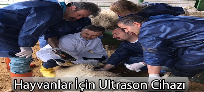 Hayvanlar İçin Ultrason Cihazı