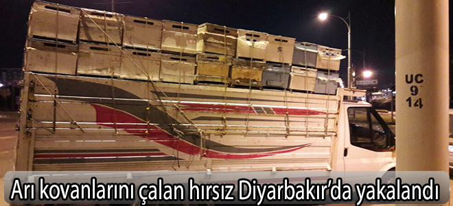 Arı kovanlarını çalan hırsız Diyarbakır’da yakalandı