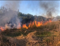 Malatya'da 4 Ayrı Noktada Anız ve Orman Yangını