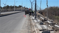 Kuzey Kuşak Yolunda Çevre Düzenleme Çalışmaları