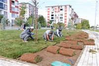 Başkan Çınar, Lavanta Bahçelerini İnceledi