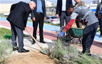 Başkan Çınar, Lavanta Bahçelerini İnceledi