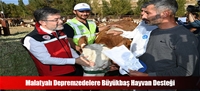 Malatyalı Depremzedelere Büyükbaş Hayvan Desteği