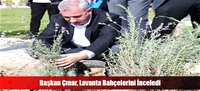 Başkan Çınar, Lavanta Bahçelerini İnceledi