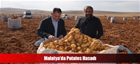 Malatya'da Patates Hasadı