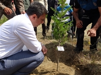 Malatya'da Depremde Kaybedilen Her Çocuk İçin Bir Fidan Dikildi