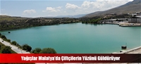 Yağışlar Malatya'da Çiftçilerin Yüzünü Güldürüyor