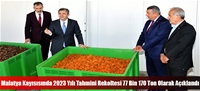 Malatya Kayısısında 2023 Yılı Tahmini Rekoltesi 77 Bin 170 Ton Olarak Açıklandı