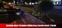 Çarptığı Ağacı Yerinden Söküp Karşı Şeride Geçti: 1 Yaralı