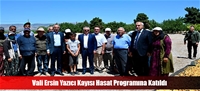 Vali Ersin Yazıcı Kayısı Hasat Programına Katıldı