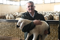 Vali Ersin Yazıcı'dan Akçadağ'daki Süt Çiftliği Üretim Tesislerine Ziyaret