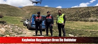 Kaybolan Hayvanları Dron İle Buldular