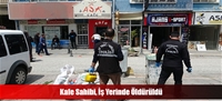 Kafe Sahibi, İş Yerinde Öldürüldü