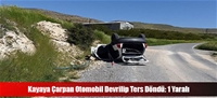 Kayaya Çarpan Otomobil Devrilip Ters Döndü: 1 Yaralı