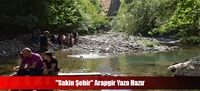 "Sakin Şehir" Arapgir Yaza Hazır