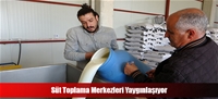 Süt Toplama Merkezleri Yaygınlaşıyor