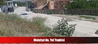 Malatya'da, Yol Tepkisi