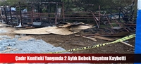 Çadır Kentteki Yangında 2 Aylık Bebek Hayatını Kaybetti