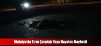 Malatya'da Tırın Çarptığı Yaya Hayatını Kaybetti