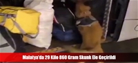 Malatya'da 29 Kilo 860 Gram Skunk Ele Geçirildi