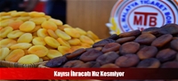 Kayısı İhracatı Hız Kesmiyor