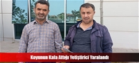 Koyunun Kafa Attığı Yetiştirici Yaralandı