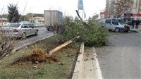 Malatya'da 6 Aracın Karıştığı Zincirleme Kazada 2 Kişi Yaralandı