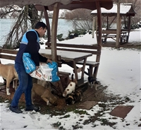 Battalgazi'de Sokak Hayvanlara Yem Bırakıldı