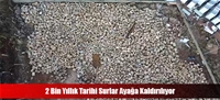 2 Bin Yıllık Tarihi Surlar Ayağa Kaldırılıyor